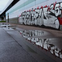 Не хохлома... :: Василий Палий