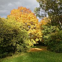 Ещё не вся листва с деревьев облетела, Ещё горят костры осенние на ниx.... :: Галина 