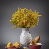 Натюрморт с грушами. :: Лилия *