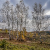 Под небом октября... :: Владимир Жданов
