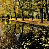 Но осень шла куда-то молча, Легко ступая, чуть шурша, :: "The Natural World" Александер