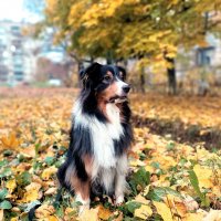 "Фантом" :: Артём 