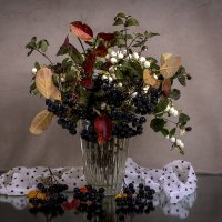 Черное и белое :: Людмила Павловна Крышковец