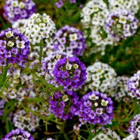 сюжеты октября 2 :: Александр Прокудин сюжеты октября 2 :: Александр Прокудин