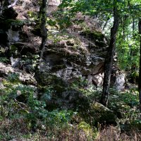 Железноводск. Селитряные скалы 2 :: Павленко Михаил 