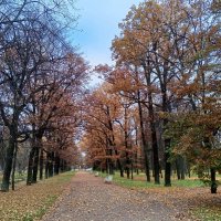 Осень :: Сапсан 