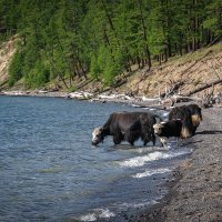 в Хубсугуле вкусная вода :: Galina 