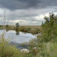 Озёрная гладь :: Георгиевич Озёрная гладь :: Георгиевич