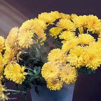 ... :: Светлана Ищенко