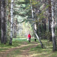 Сентябрь. Грибники еще в поисках груздей :: Ольга Гомзина