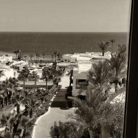 ЧБ Египет :: Роман Савоцкий