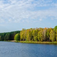Дубровское озеро :: Галина Ложечникова