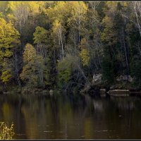 *** :: Aleksandr Gal