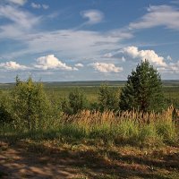 Сусанинские места.Костромская область.Триптих. Часть1 :: MILAV V