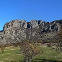Природа Крыма :: Amazing Cosmea
