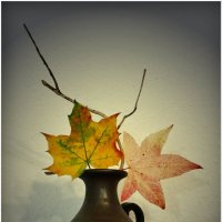 БУКЕТ... :: Elvira E. 