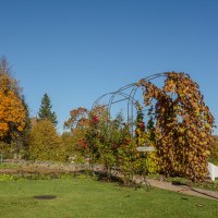 Бирини. :: Геннадий Порохов