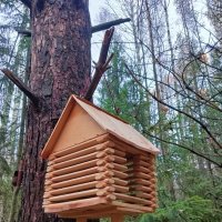 Коттедж для белочки :: Виктор 