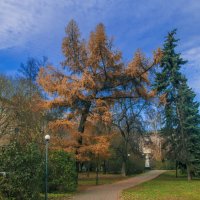 Мой ГОРОД - ул КОММУНАРОВ :: Владимир Максимов Мой ГОРОД - ул КОММУНАРОВ :: Владимир Максимов