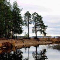 Карелия :: Мария 