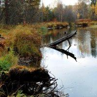 Осенняя вода :: Мария 