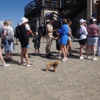 Очередь на подъёмник :: Наталия Григорьева Очередь на подъёмник :: Наталия Григорьева