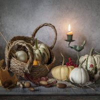 Тыковки-подружки... :: Bosanat Тыковки-подружки... :: Bosanat