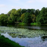 Нижний Кузьминский пруд :: Игорь Белоногов Нижний Кузьминский пруд :: Игорь Белоногов