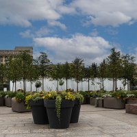 на Московской площади :: navalon M