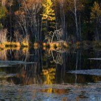 * :: Наталья Покацкая