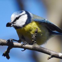 ЛАЗОРЕВКА. :: DianaVladimirovna 