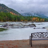 ****** :: Алексей Мезенцев