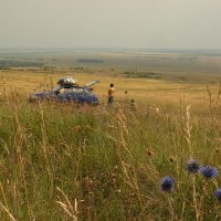 Далеко от дома... :: Наталья Лунева 