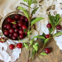 Натюрморт. :: жанна нечаева