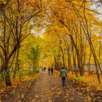 В осеннем парке... :: Владимир Жданов В осеннем парке... :: Владимир Жданов