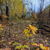 сюжеты октября  7 :: Александр Прокудин