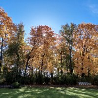 Осень :: Сапсан 