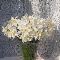 Весенний букет! :: Нина Андронова