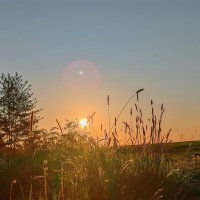 * :: Татьяна Венцель