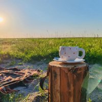 * :: Татьяна Венцель