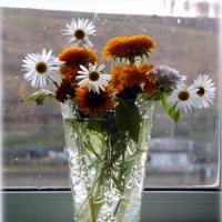 Дождь за окном. :: nadyasilyuk Вознюк Дождь за окном. :: nadyasilyuk Вознюк