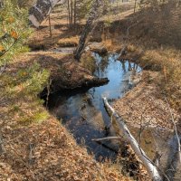 Повороты ... :: Андрей Хлопонин