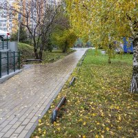 Мокрая осень :: Валерий Иванович Мокрая осень :: Валерий Иванович