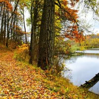 Смоленская осень. :: Милешкин Владимир Алексеевич Смоленская осень. :: Милешкин Владимир Алексеевич