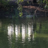 В Харитоновском парке :: Елена Шаламова