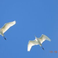 Кто это ? :: Конрад Карлович Михельсон