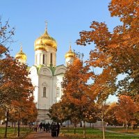 В осеннем убранстве :: Валентина В осеннем убранстве :: Валентина