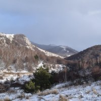 Природа Крыма :: Amazing Cosmea