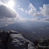 Природа Крыма :: Amazing Cosmea