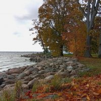 Осенний променад .. :: Татьян@ Ивановна Осенний променад .. :: Татьян@ Ивановна